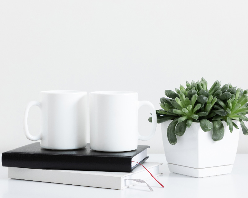 Two mugs on top of journals with a plant; EMSD in Georgia