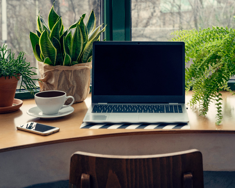 Laptop on a desk surrounded by plants; online therapy in Georgia