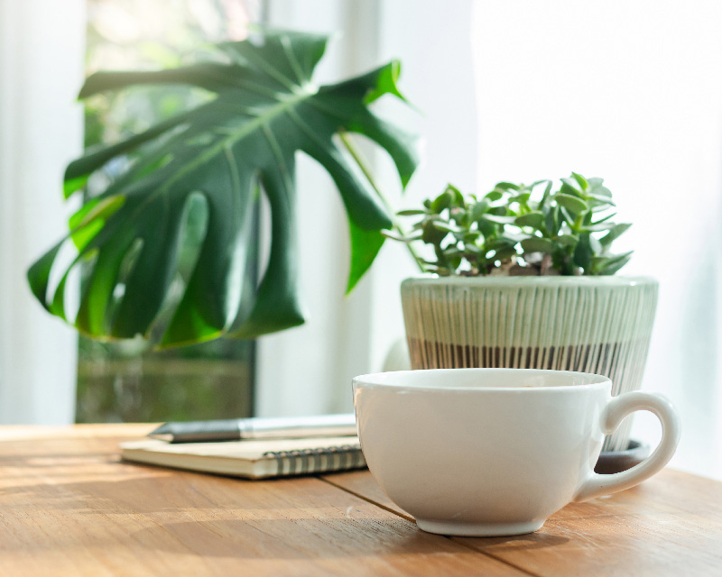 Cup and potted plant on a table; Christian sex therapist in Watkinsville